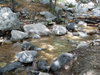 State Board orders Arrowhead bottled water to stop tapping into some mountain springs