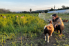 Agritourism: Securing the future of sustainable farming in Redland