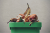Food waste will no longer be allowed in gray trash bins starting April 1