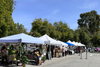 Downtown's Morning Market canceled Saturday