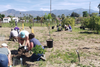 A Day of Climate Action returns with gardening workshops, clothing swap, disaster preparedness and more