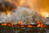 State Farm to drop 72,000 California insurance policies, Redlands among impacted zip codes