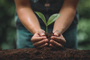 Community tree giveaway 'Treestock' returns on May 11