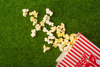 Redlands' Movie Night returns