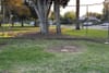 Volunteers to tackle park upgrades at Redlands' 16th Annual Community Day of Service