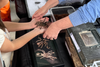 Bug-inspired fun returns with Arthropolooza: The Ultimate Bugfest