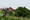 Tree removal begins at historic England Grove ahead of replanting