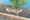 Mountain lion found dead in Redlands backyard