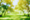 Redlands invites community input for Texonia Park renovation
